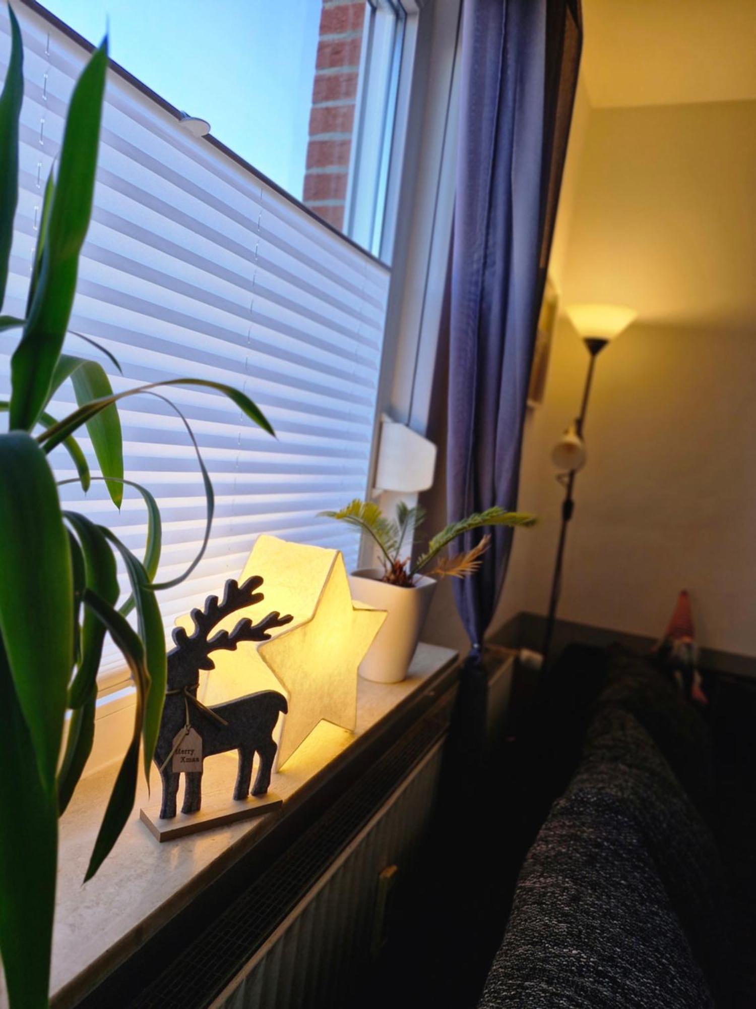 Mit Garten Apartment *